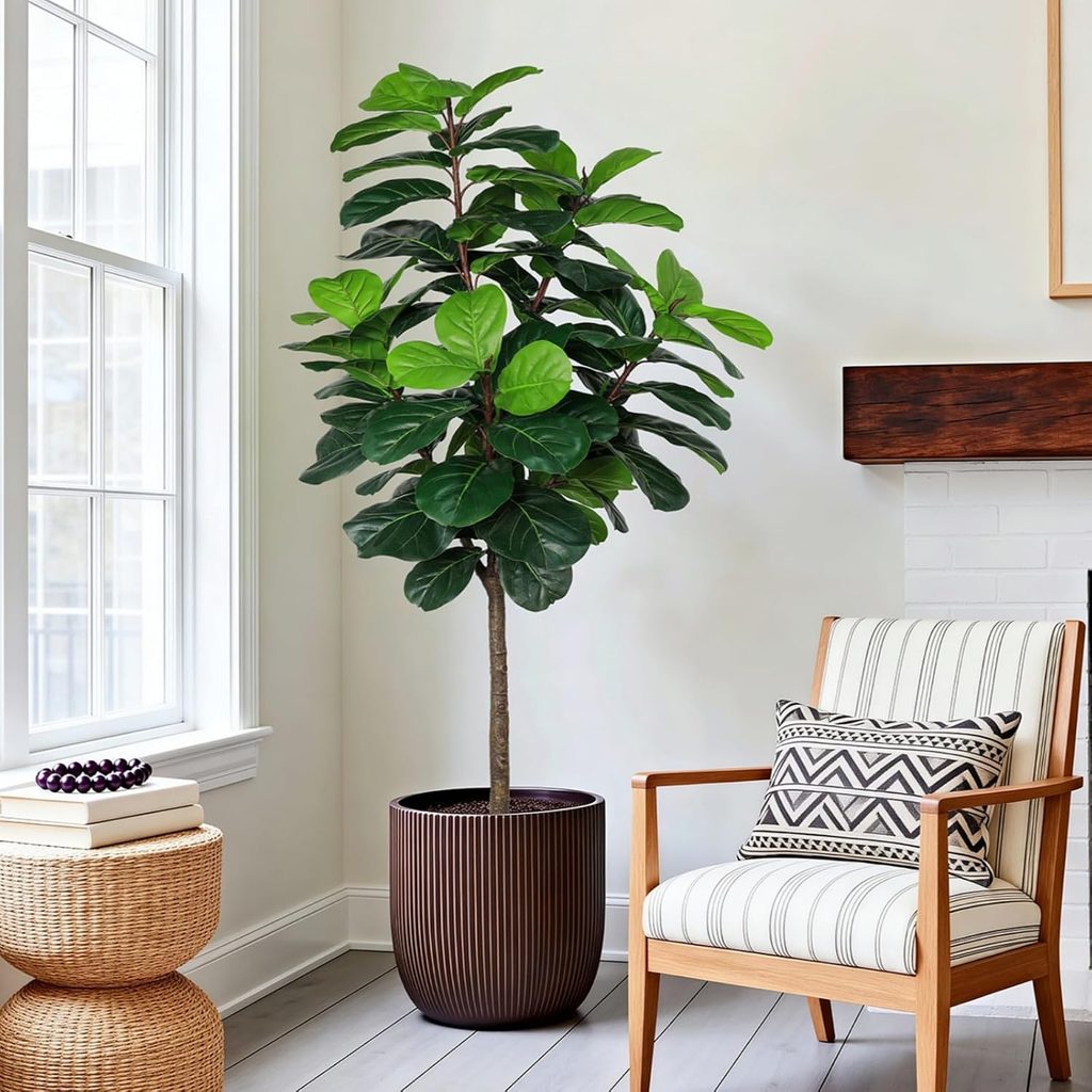 tall plant